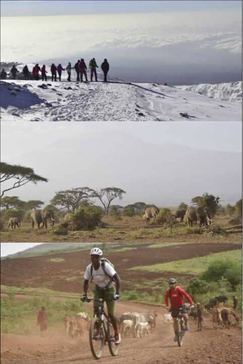 Topoguide de randonnées (en anglais) - Kilimanjaro trekking guide (Mount Meru included) | Trailblazer guide de randonnée Trailblazer 