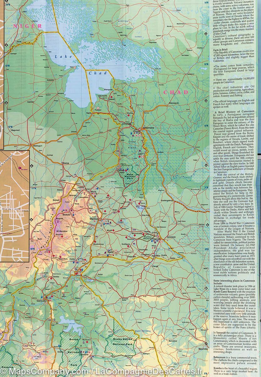 Carte du Cameroun et du Gabon | ITM - La Compagnie des Cartes