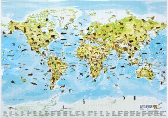 Carte murale illustrée pour enfants - Les animaux du monde | Stellanova carte murale petit tube Stellanova plastifiée 