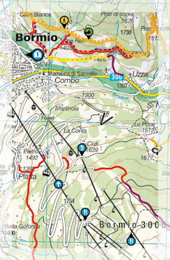 Carte Supertrail - Livigno, Bormio | Supertrail Map carte pliée Supertrail Map 