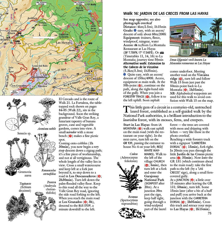 Guide de randonnées (en anglais) - Gomera & Tenerife Southern | Sunflower guide petit format Sunflower 