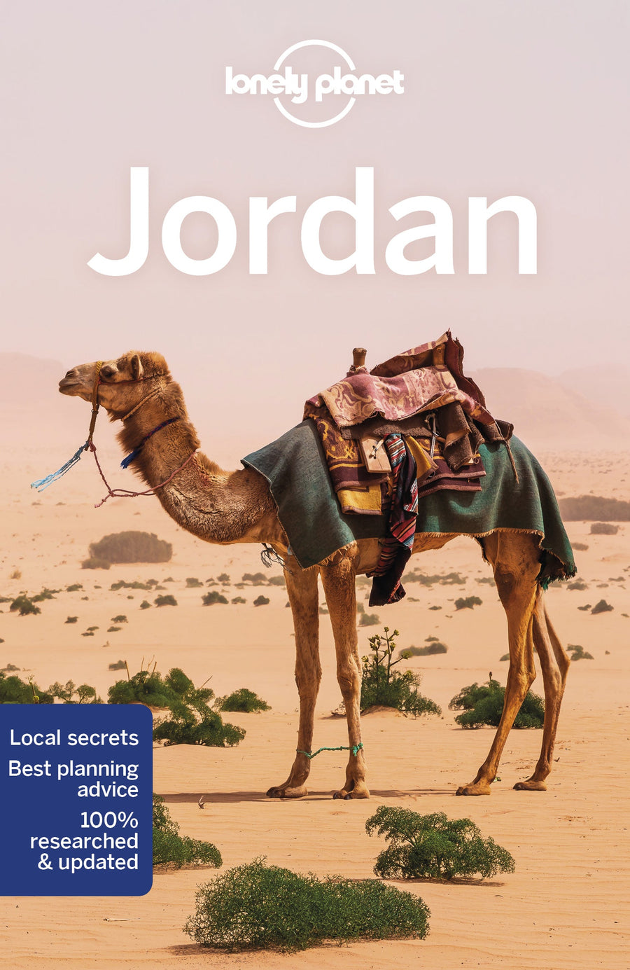 Guide de voyage (en anglais) - Jordan | Lonely Planet guide de voyage Lonely Planet 