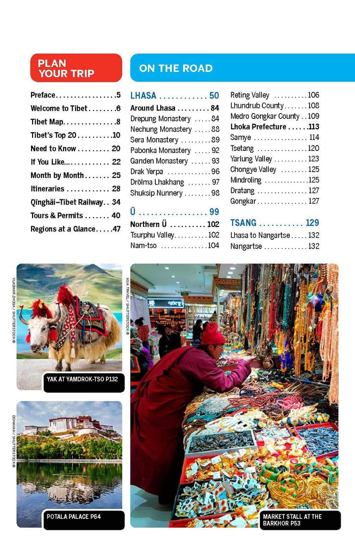 Guide de voyage (en anglais) - Tibet | Lonely Planet guide de voyage Lonely Planet EN 