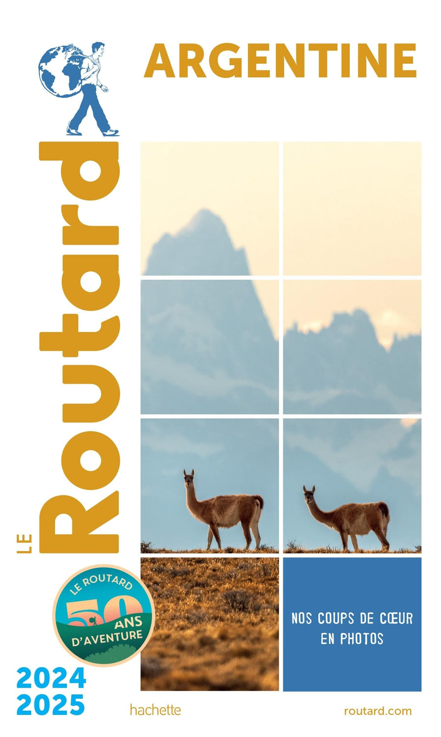 Guide du Routard - Argentine 2024/25 | Hachette guide de voyage Hachette 