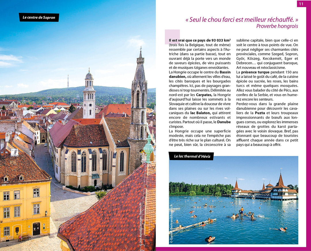 Guide du Routard - Hongrie & Budapest 2019/20 | Hachette guide de voyage Hachette 