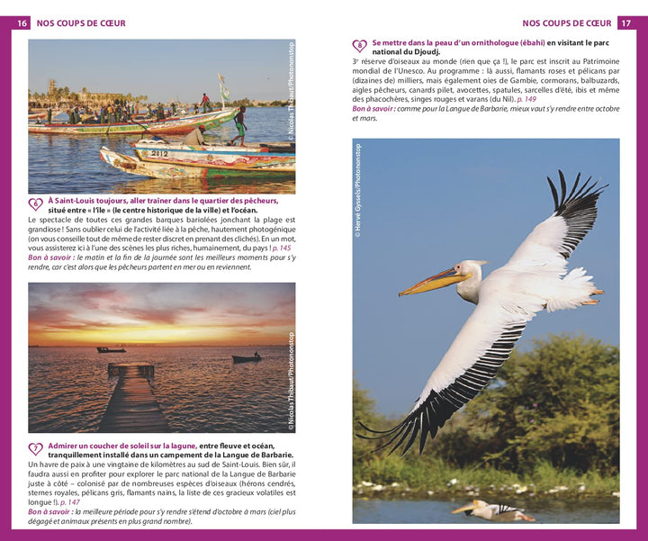 Guide du Routard - Sénégal 2022/23 | Hachette guide de voyage Hachette 