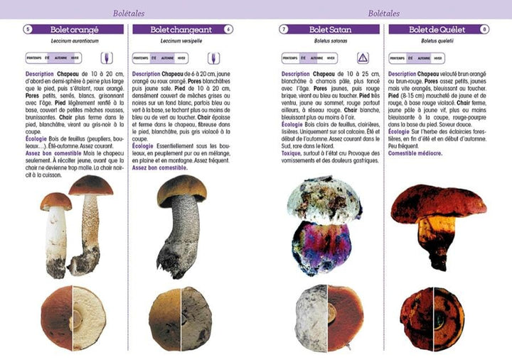 Guide pratique - Champignons de France | Chamina guide pratique Chamina 